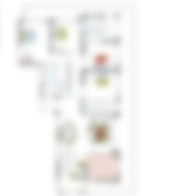 max estates 360 Floor Plan